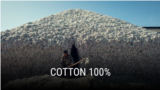 thumb_cotton