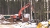 arkhangelsk garbage dump protests